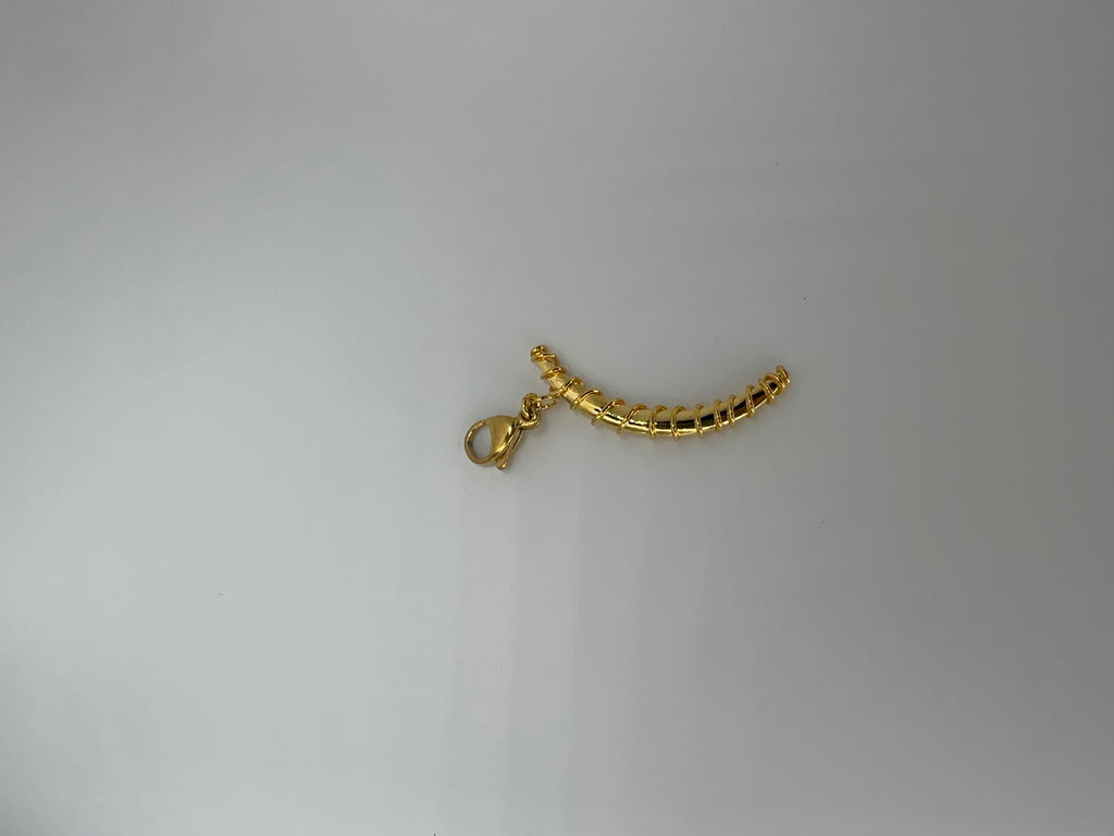 Moon Charm