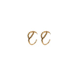Promise earrings
